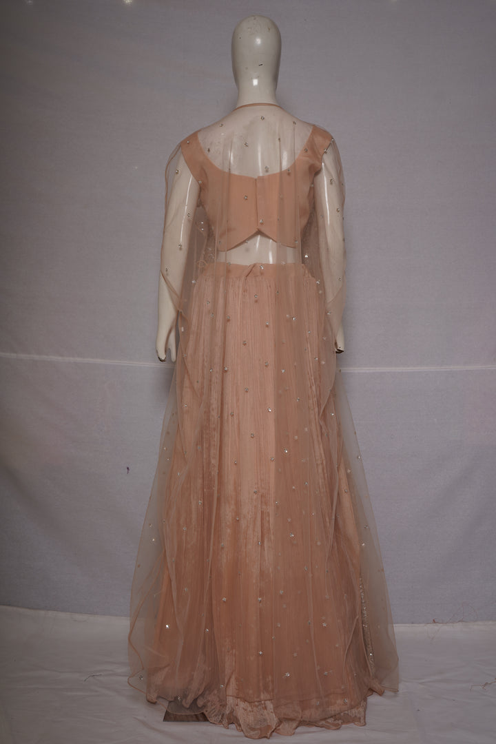Blush Pink Embroidered Pleated Lehenga Set with Net Dupatta