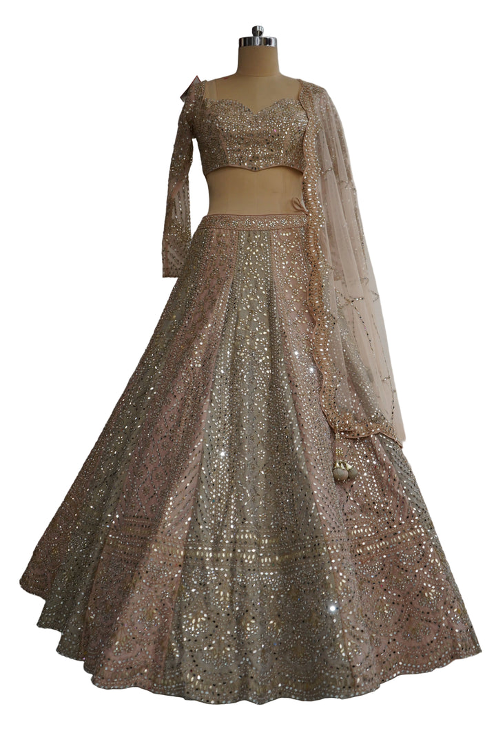 Blush Beige Designer Lehenga Set with Embellished Blouse and Net Dupatta