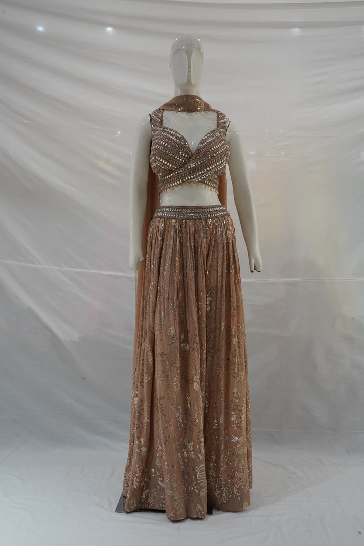 Blush Nude Embellished Lehenga Set with Mirror Work Blouse and Choker Dupatta