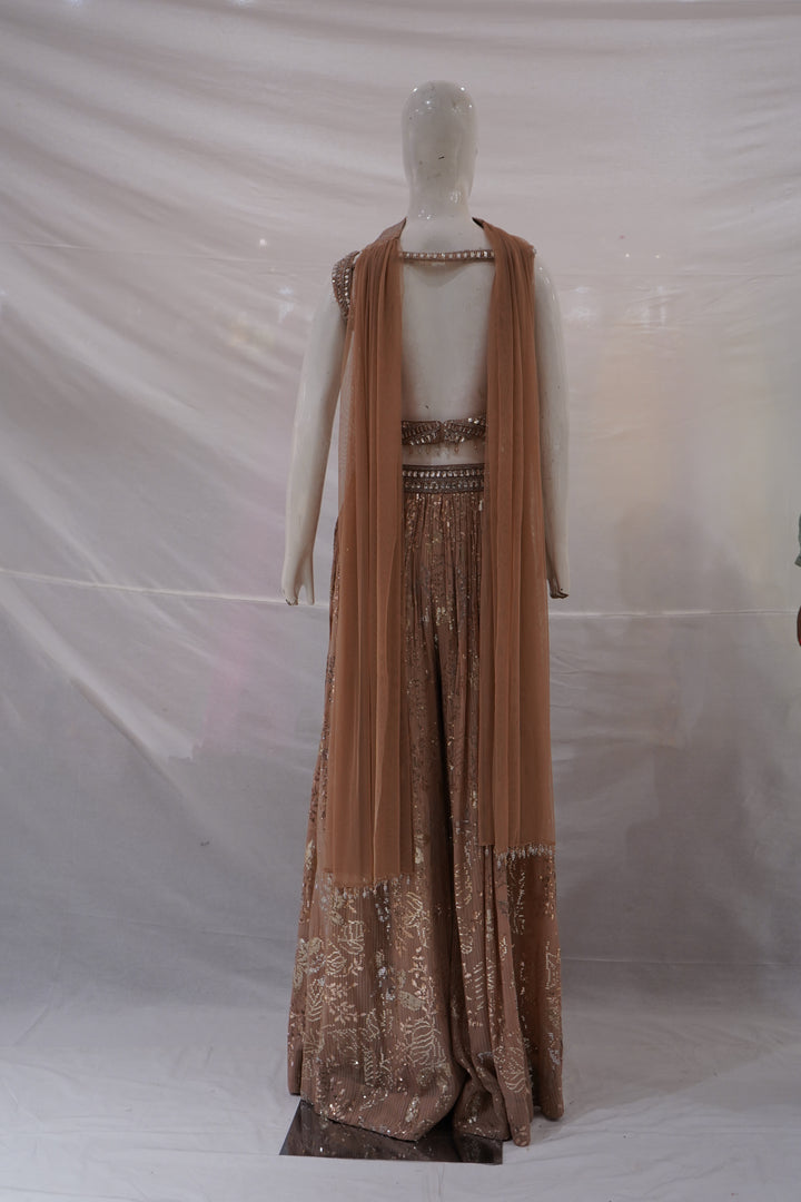 Blush Nude Embellished Lehenga Set with Mirror Work Blouse and Choker Dupatta