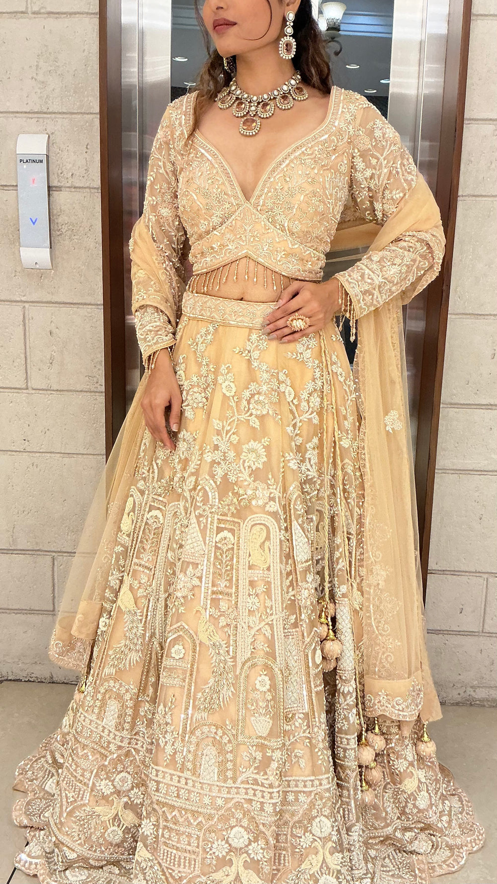 See all Bridal Lehengas AMRUT See all Bridal Lehengas AMRUT