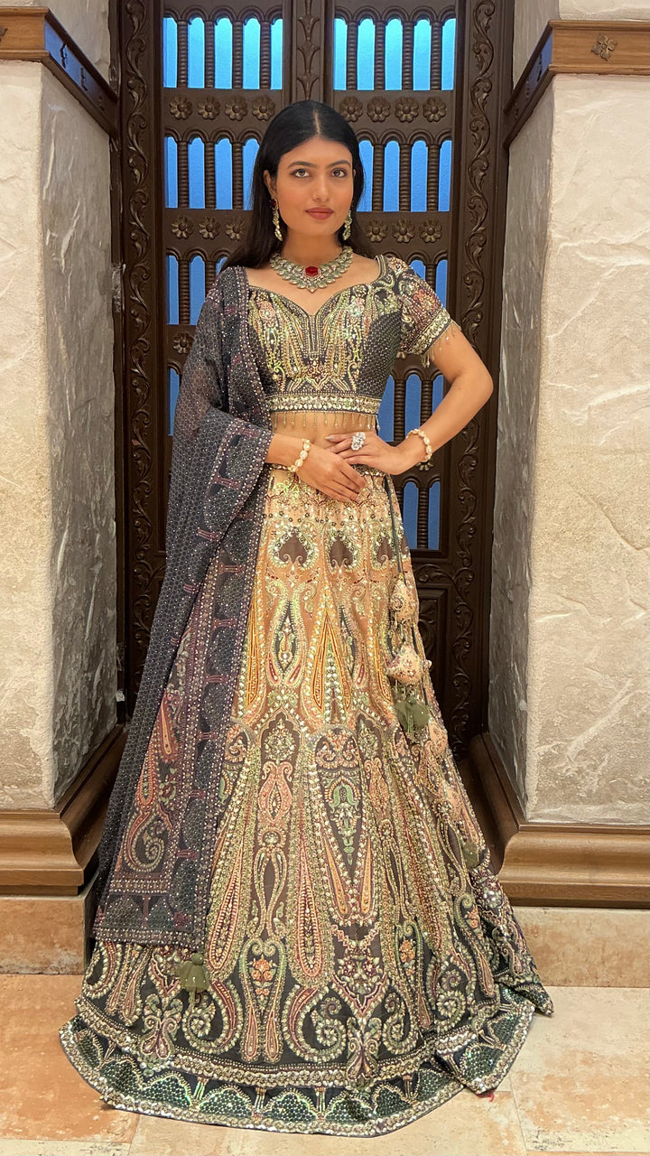 Luxury Multi-Colour Heavy Embroidered Designer Lehenga Set with Dupatta