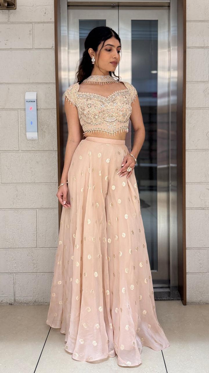 Elegant Blush Pink Designer Palazzo Set with Embellished Corset Blouse
