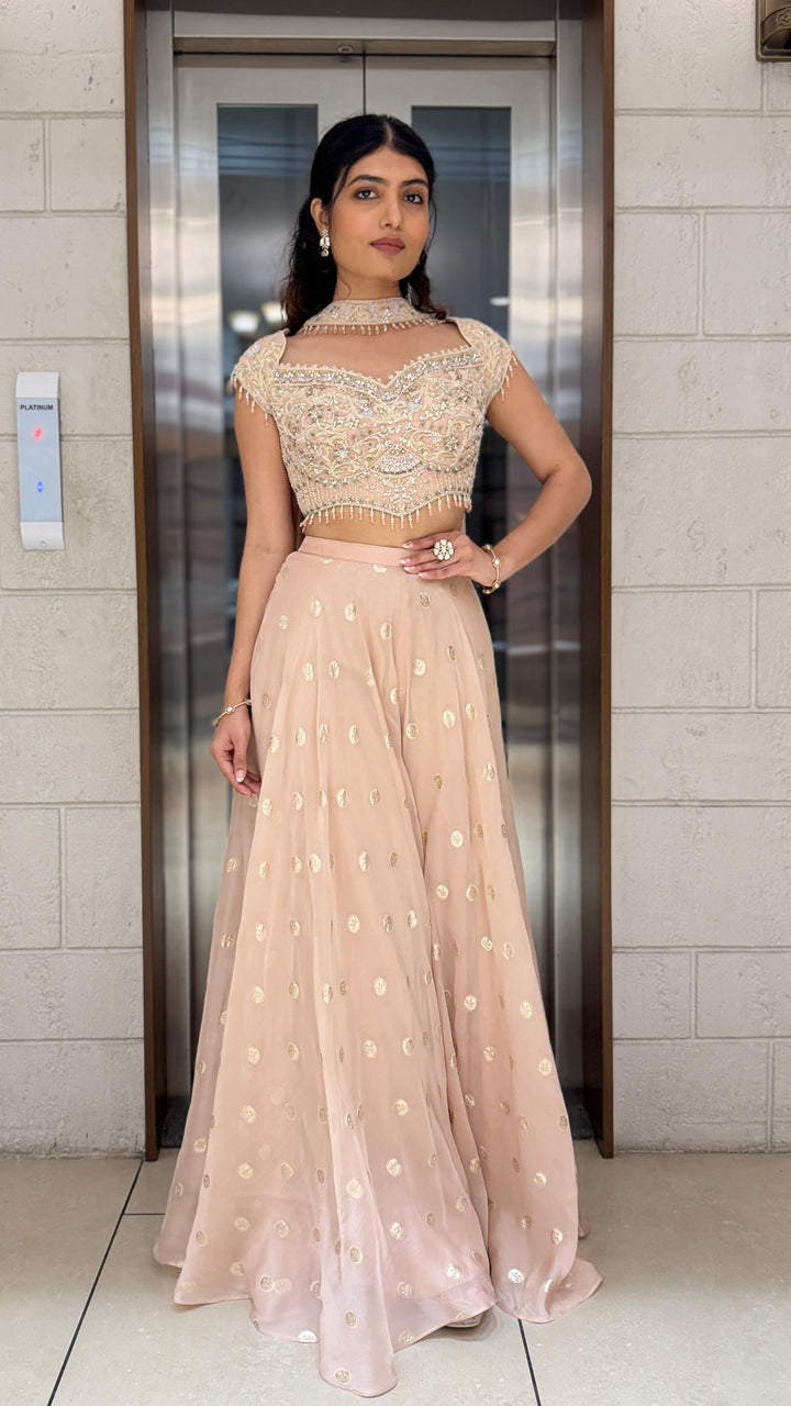 Elegant Blush Pink Designer Palazzo Set with Embellished Corset Blouse