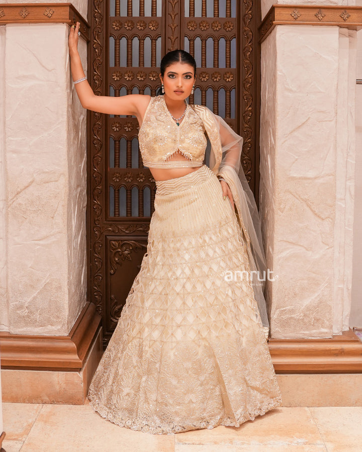 Light Cream Organza Embroidered Lehenga Set With Dupatta