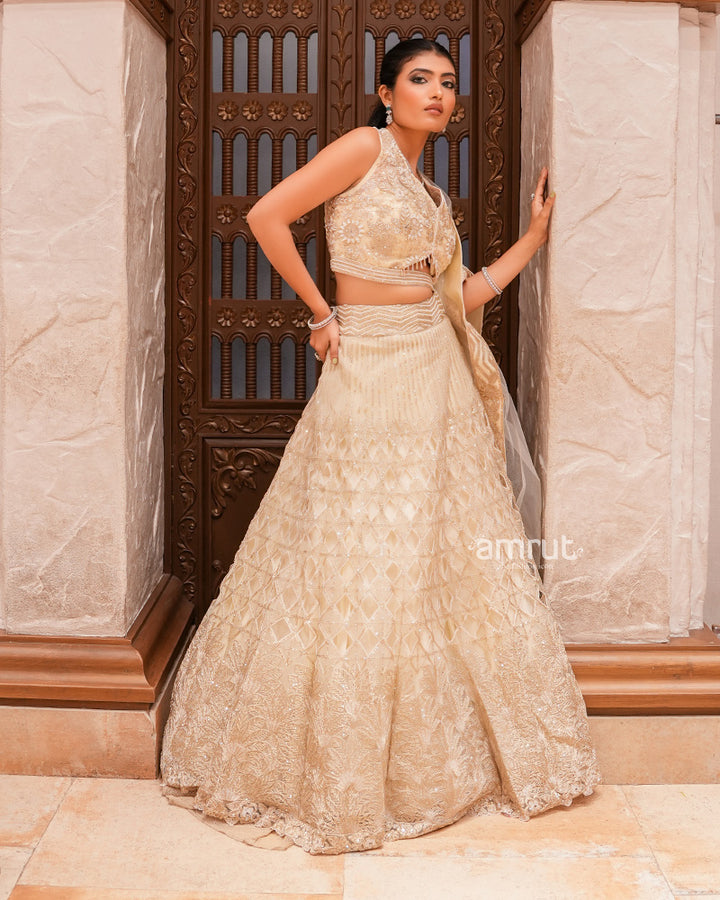 Light Cream Organza Embroidered Lehenga Set With Dupatta