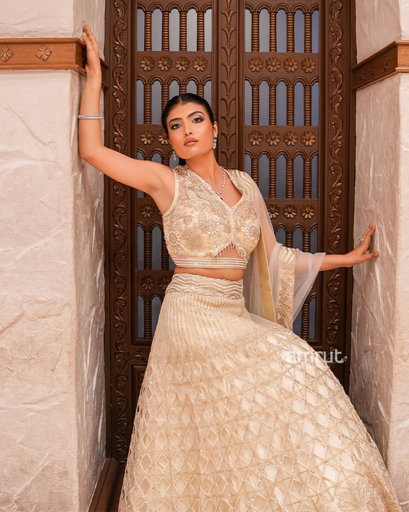 Light Cream Organza Embroidered Lehenga Set With Dupatta