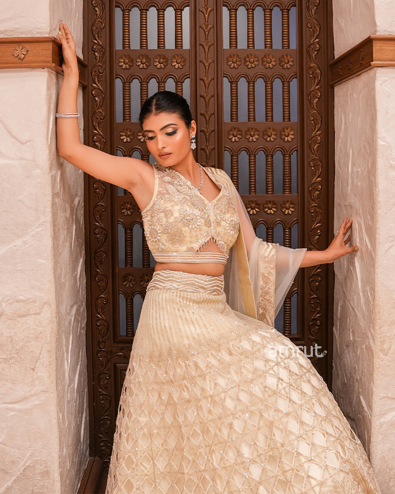 Light Cream Organza Embroidered Lehenga Set With Dupatta