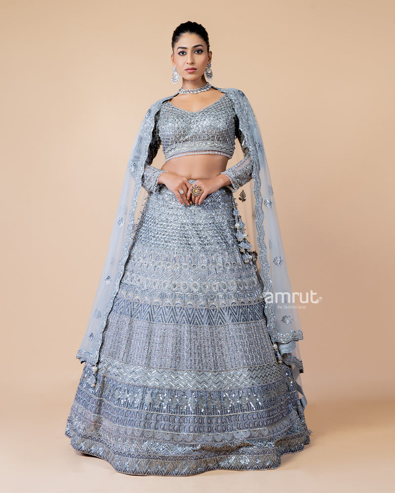 Light Grey Hand Embroidered Lehenga With Designer Blouse