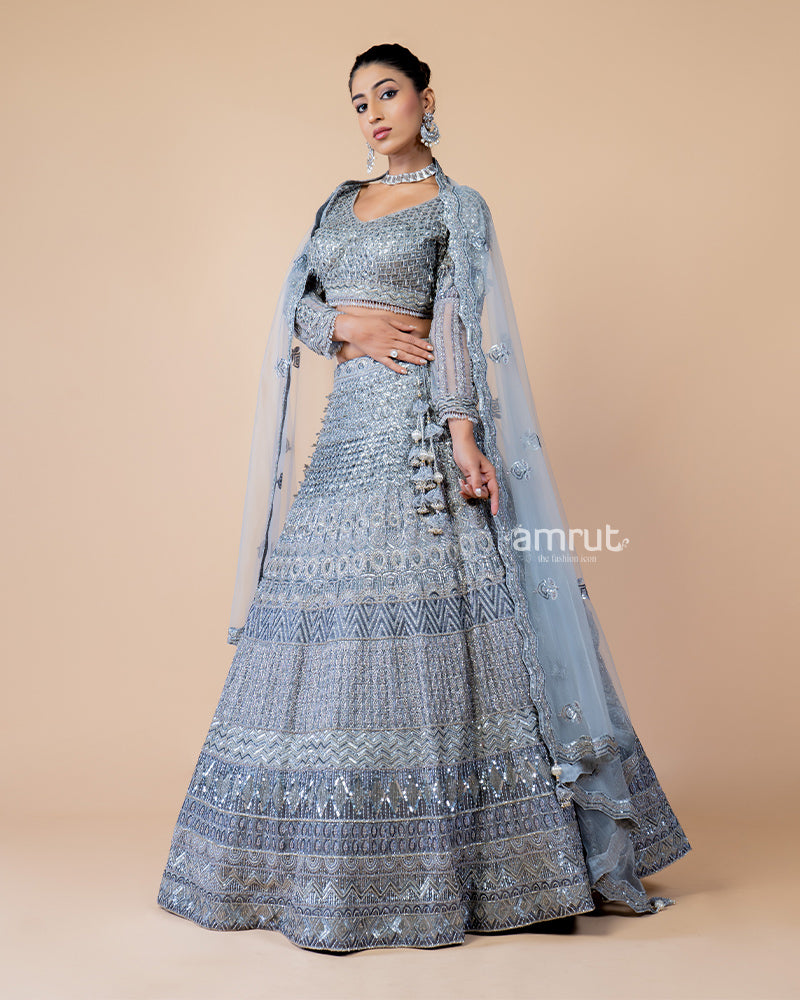 Light Grey Hand Embroidered Lehenga With Designer Blouse