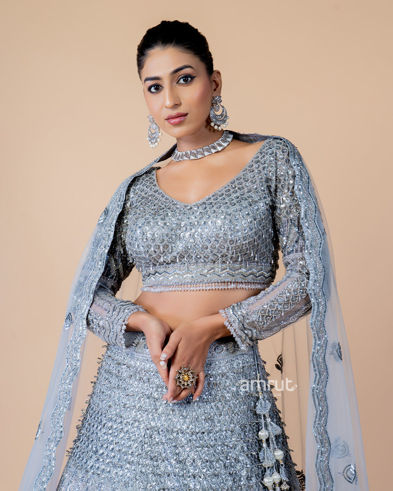 Light Grey Hand Embroidered Lehenga With Designer Blouse