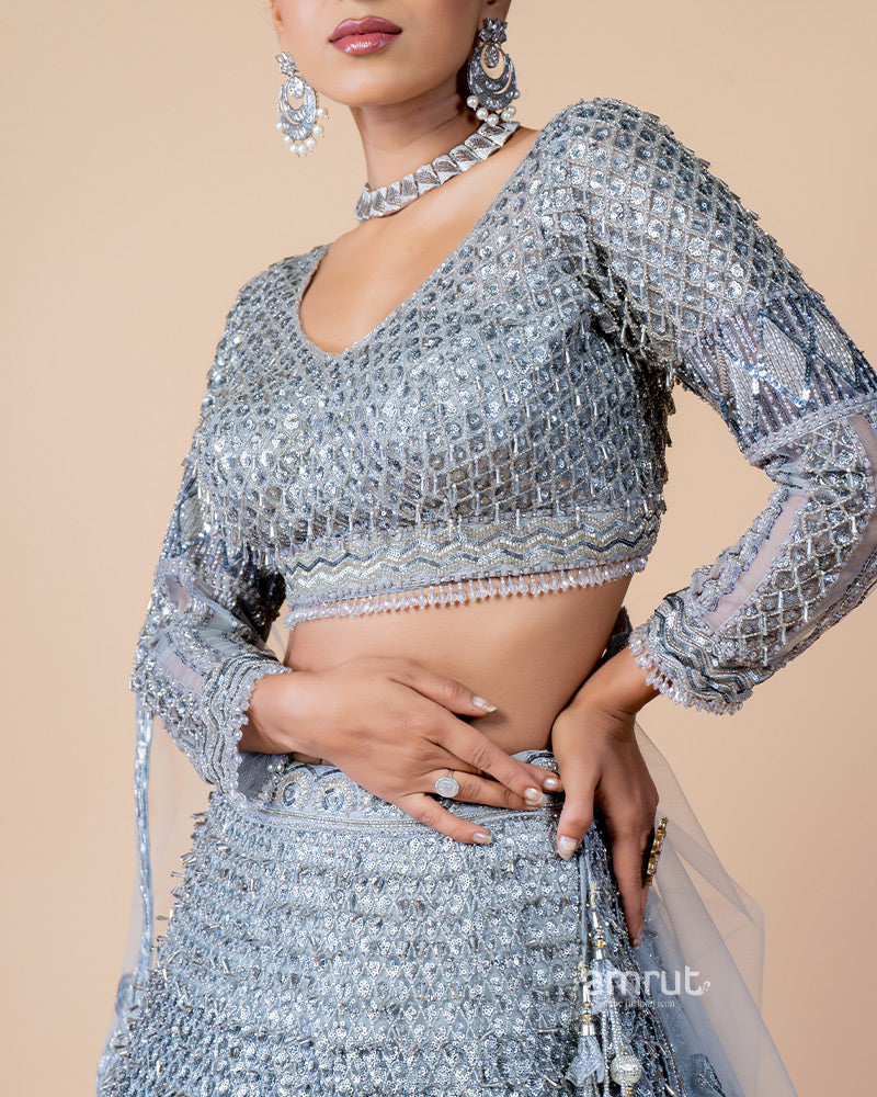 Light Grey Hand Embroidered Lehenga With Designer Blouse