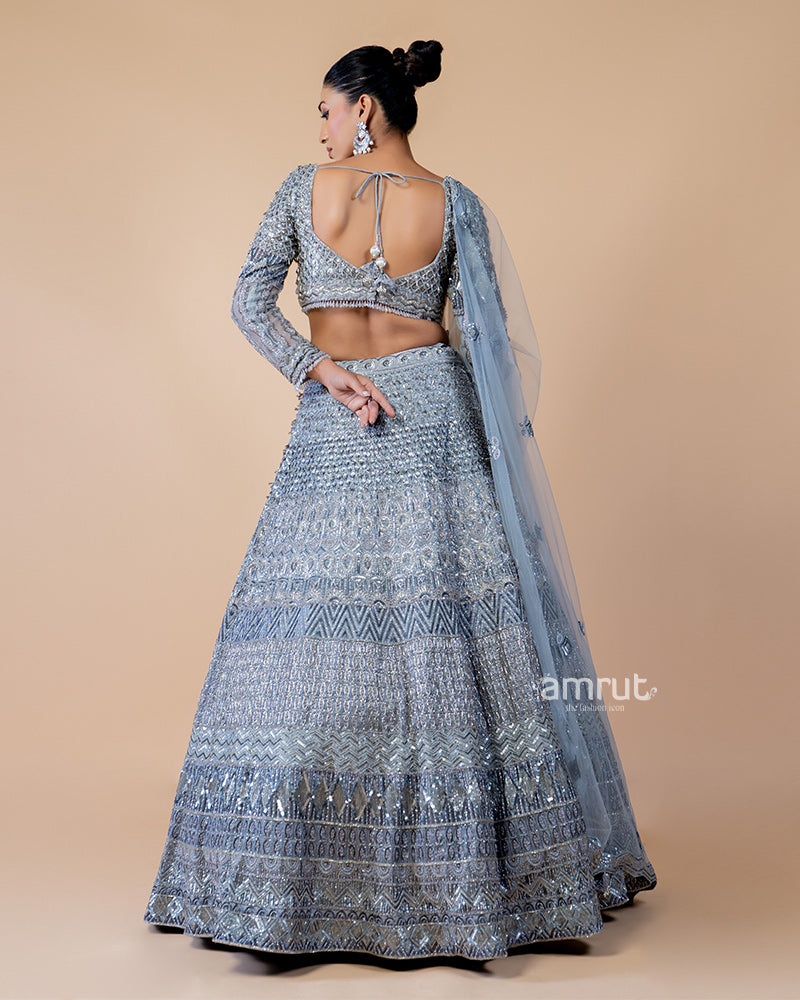 Light Grey Hand Embroidered Lehenga With Designer Blouse