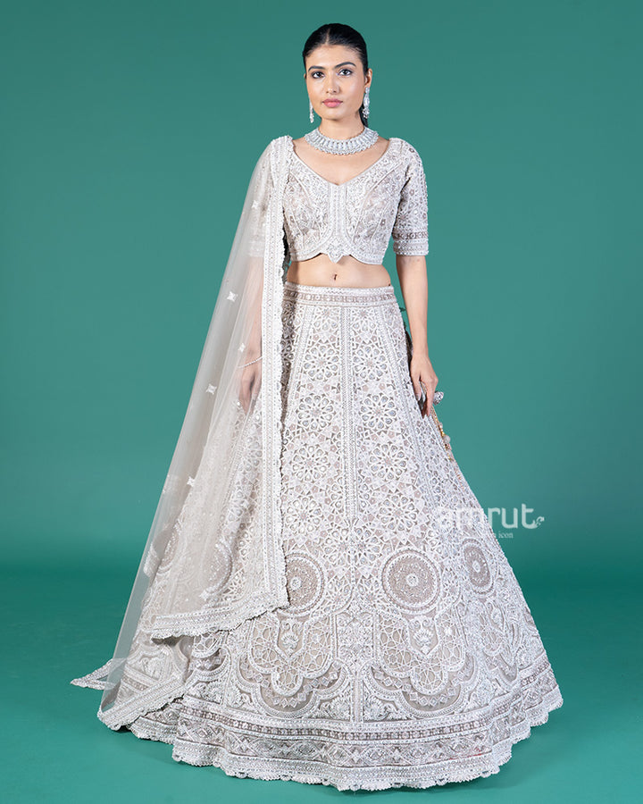 Light Beige Embellished Lehenga Choli with Net Dupatta 01