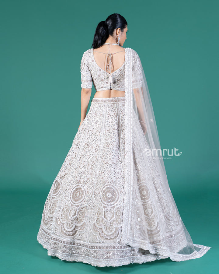 Light Beige Embellished Lehenga Choli with Net Dupatta 05