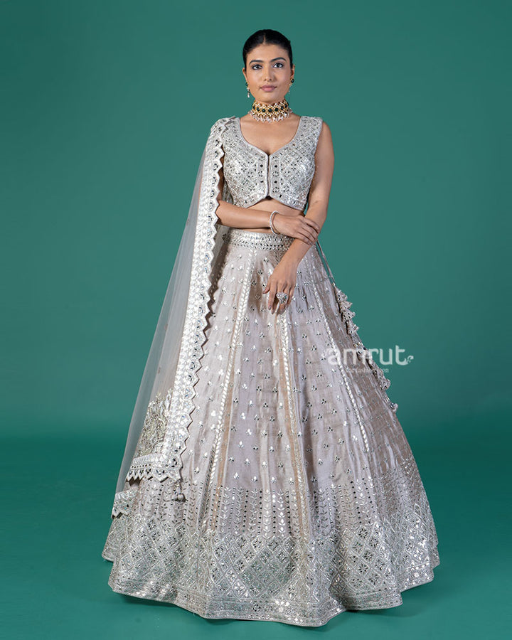 Light Taupe Embellished Lehenga Choli with Dupatta 01