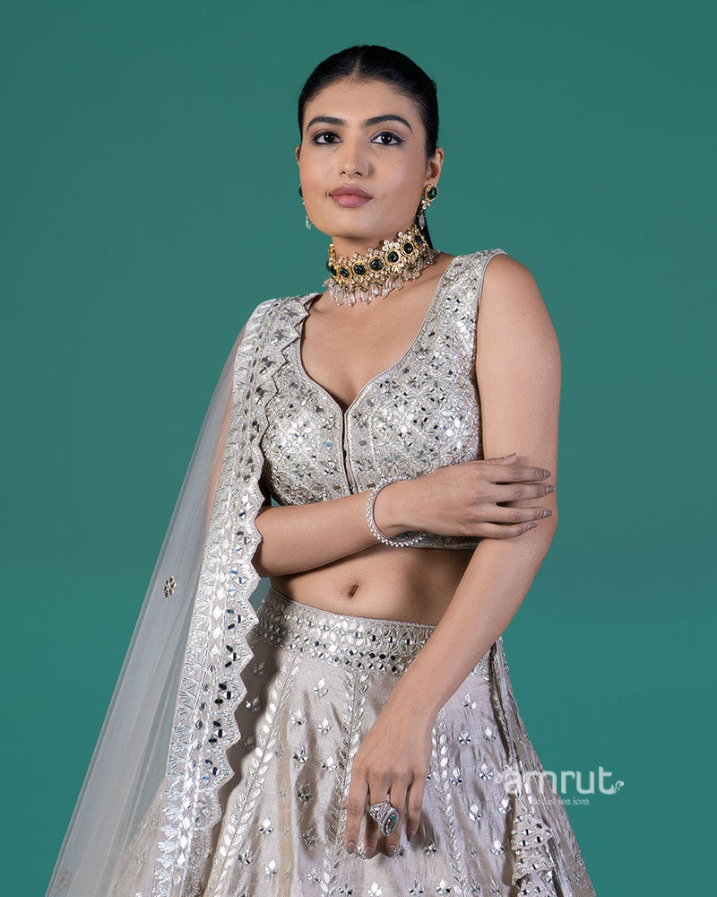 Light Taupe Embellished Lehenga Choli with Dupatta 02