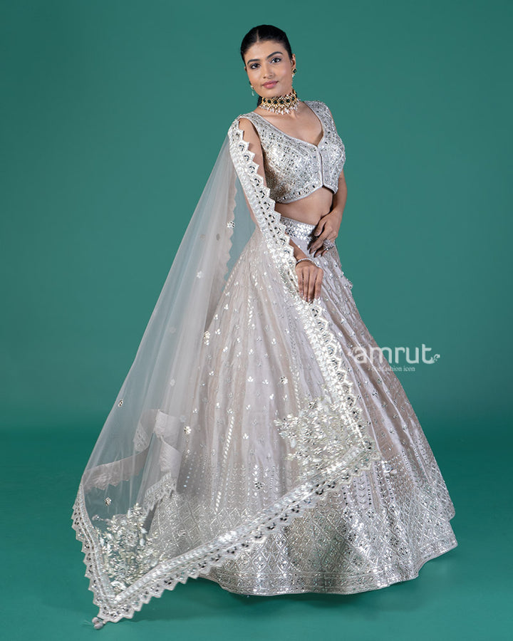 Light Taupe Embellished Lehenga Choli with Dupatta 04