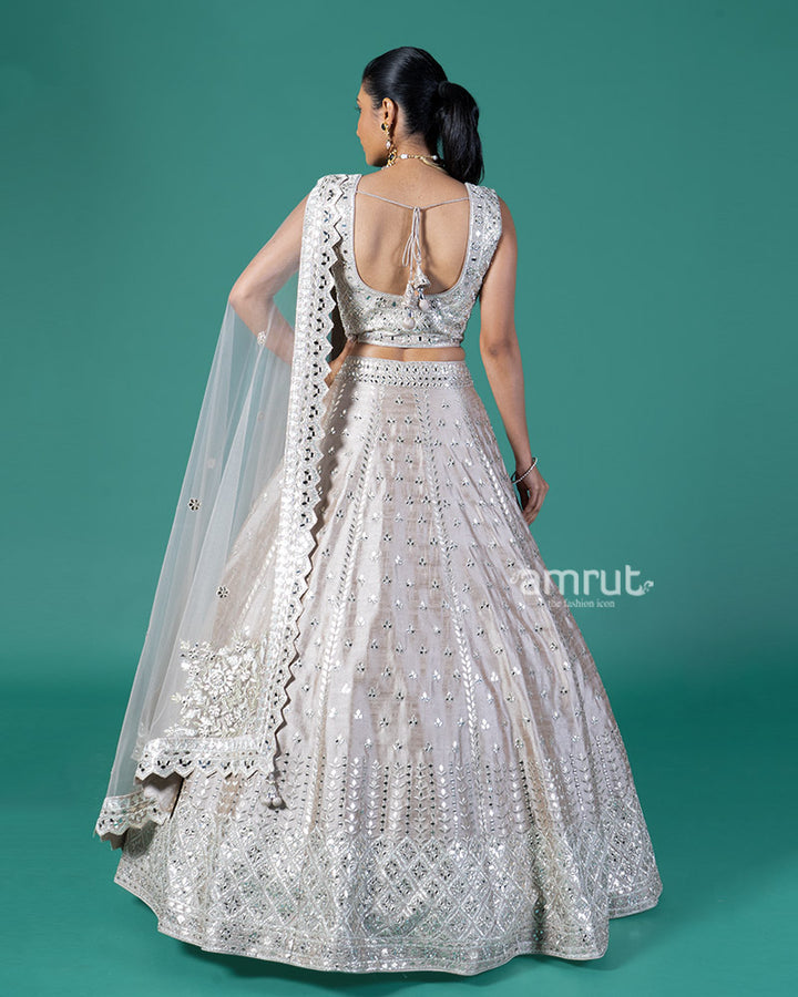 Light Taupe Embellished Lehenga Choli with Dupatta 05