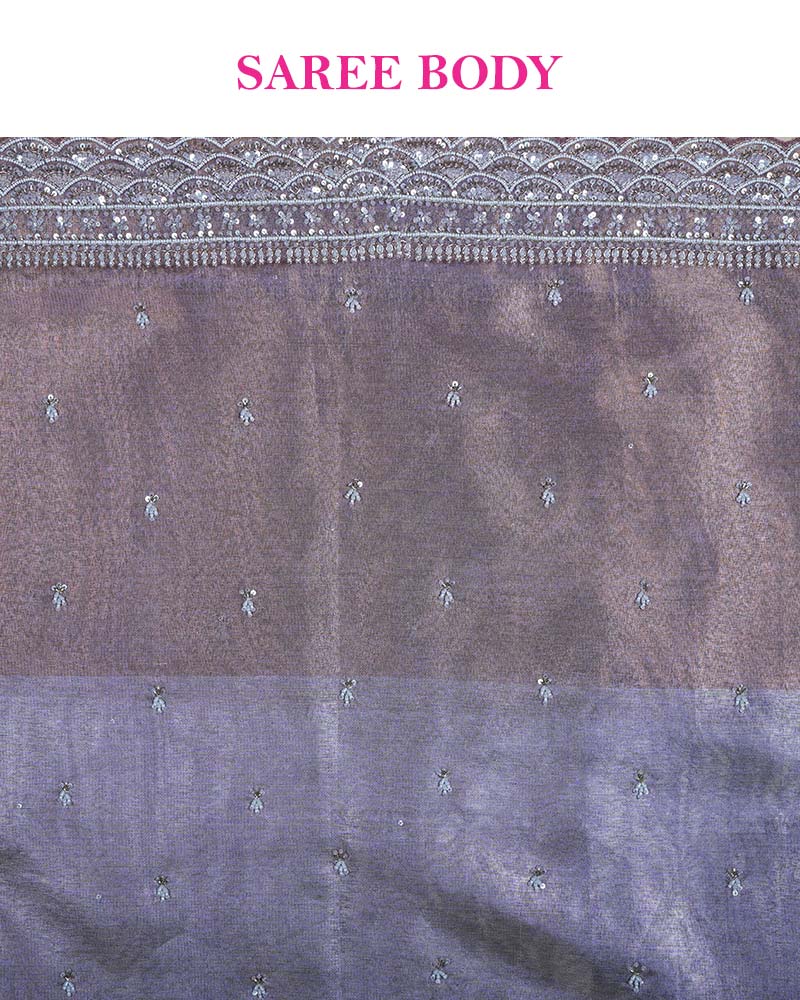 Metallic Sky Grey Tissue Saree with Cutwork Border and Unstitched Blouse 06