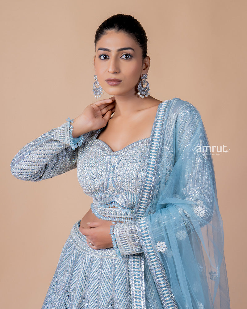 Sky Blue Net Lehenga Choli