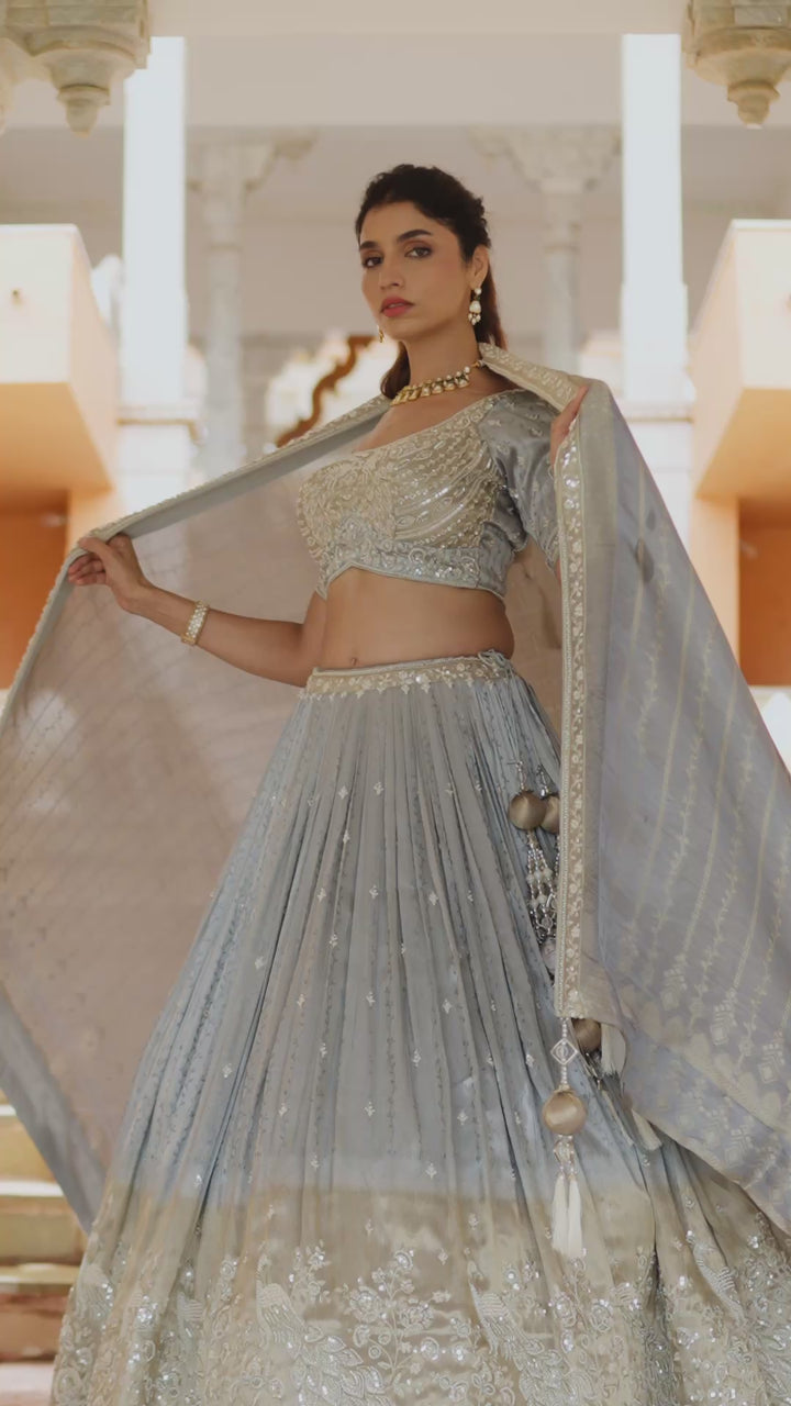 Ice Grey Embroidered Designer Lehenga Choli Set with Dupatta