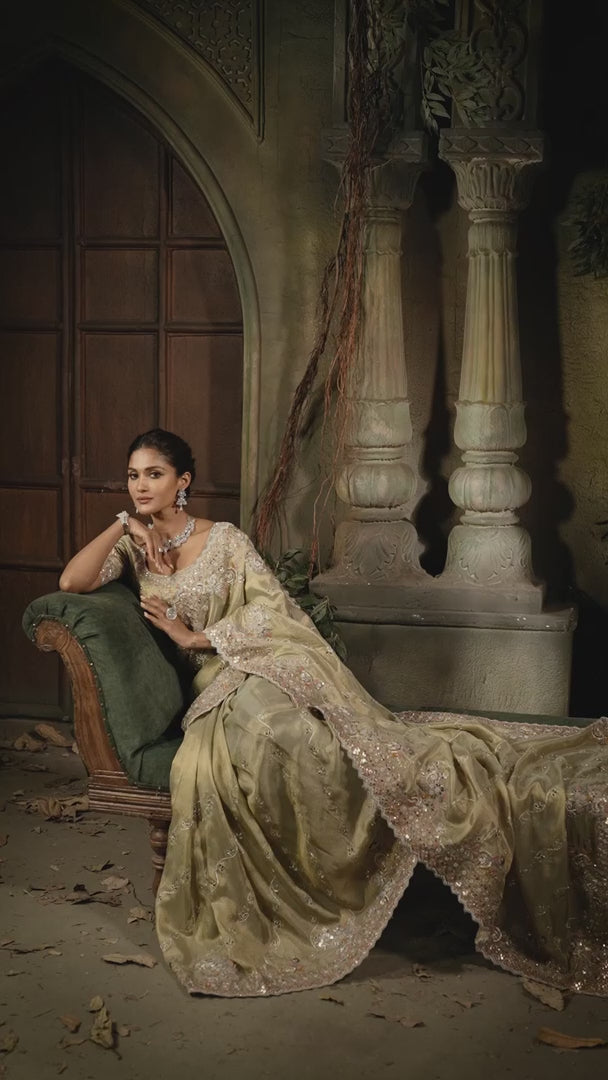 Pastel Green Silk Saree with Intricate Embroidery & Elegant Zari Border