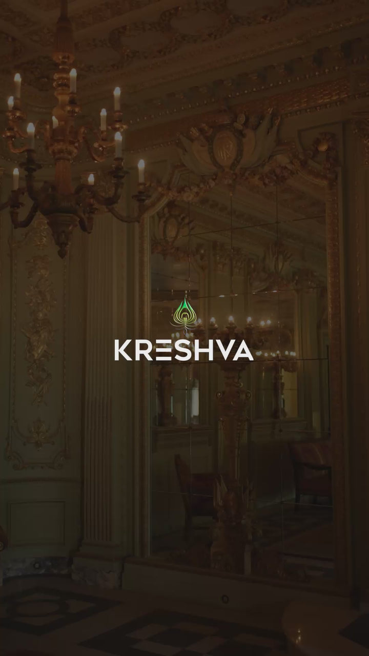 Royal Black Pashmina Inspired Heritage Print Saree with Red Blouse