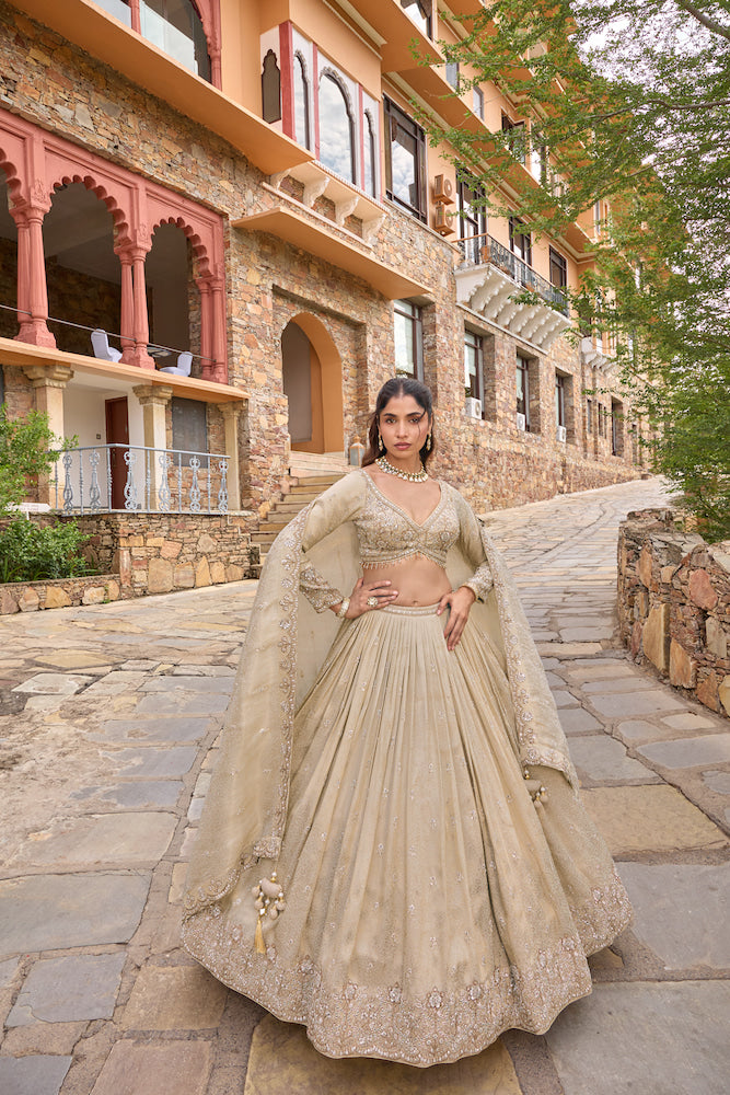 Product Title  Elegant Champagne Beige Lehenga Choli with Embroidered Dupatta