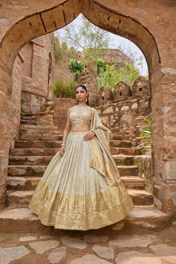 Ivory Beige Lehenga Choli with Golden Embroidered Border and Matching Dupatta